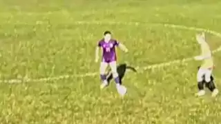 player 21
