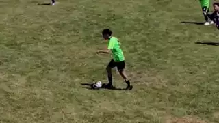 player 24