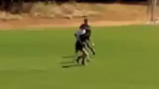 player 24