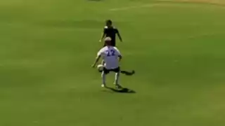 player 22