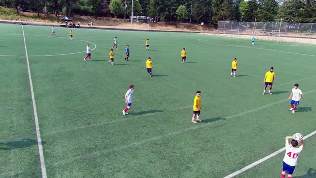 Sound FC B10B vs Everett B10 White