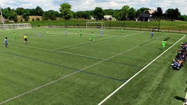 Pax vs Cedar stars