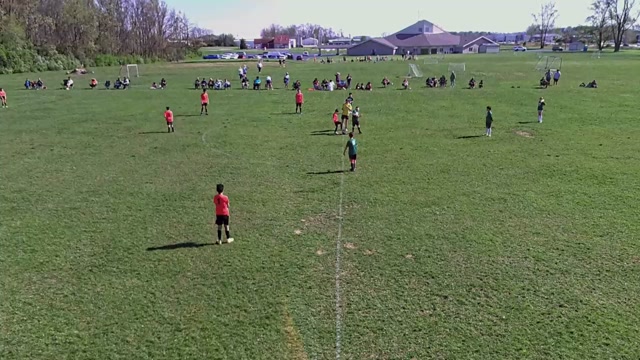 Esmeralda's vs Crow painting