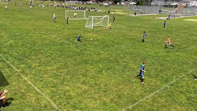 North County Alliance vs DFC U10