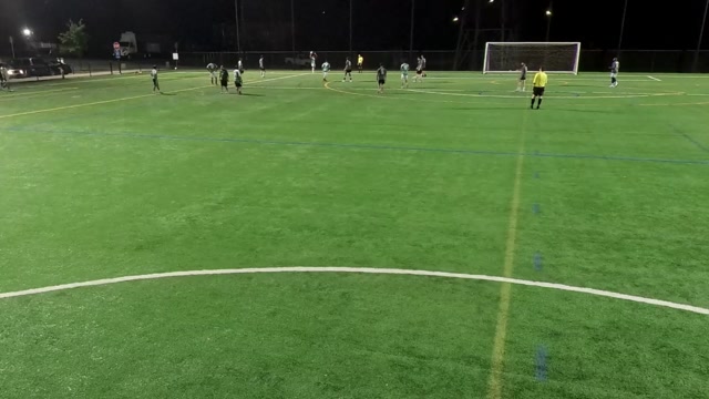 Other-BFL vs BFL2