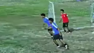 player 7