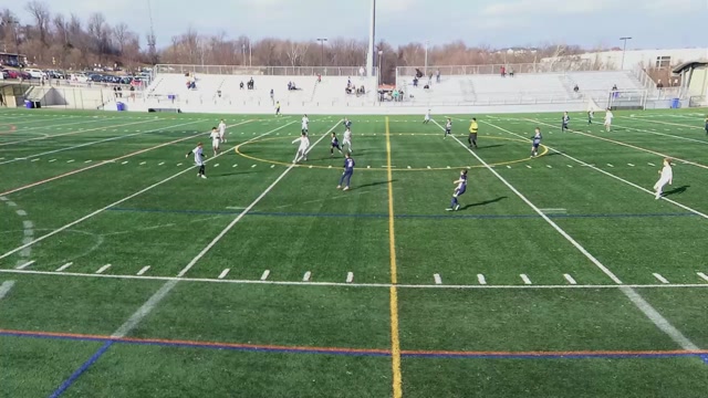 2013 coppermine blue vs 2014 Premier I