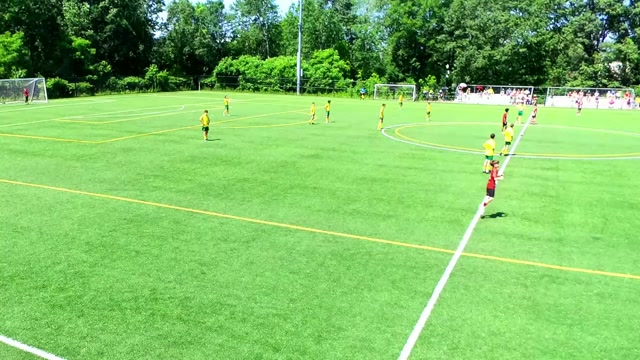 Tantasqua vs Fire Ants