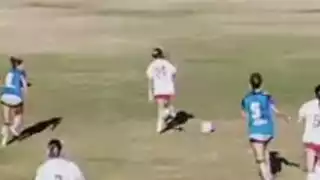 player 24