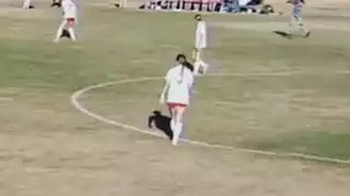player 3