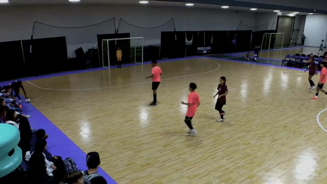 Phoenix Futsal vs Futboland 2013