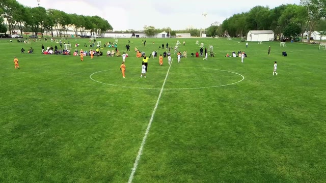 BSA Celtic 15 White vs TFA B15 Elite