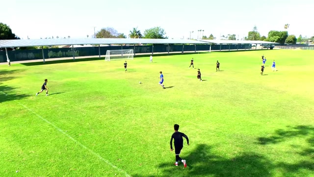 Los Alamitos vs Bosco Soccer