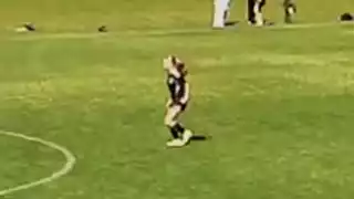 player 25
