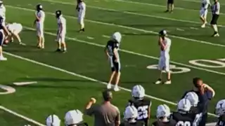 player 31