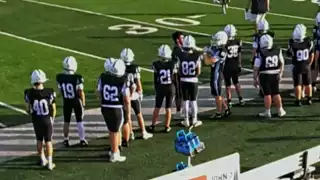 player 79
