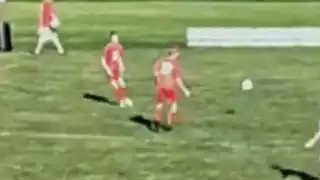 player 17