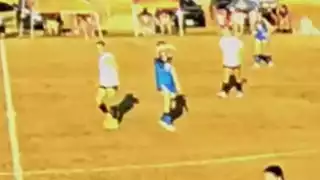 player 12