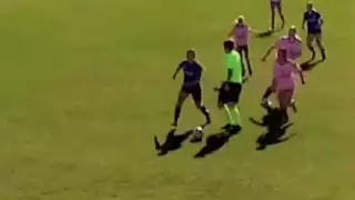 player 21
