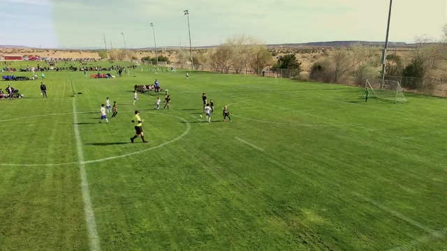 wsu wonbats vs Team Attack U10 Alameda