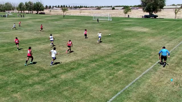 AVFC 09 Girls Warriors vs 09 Albion
