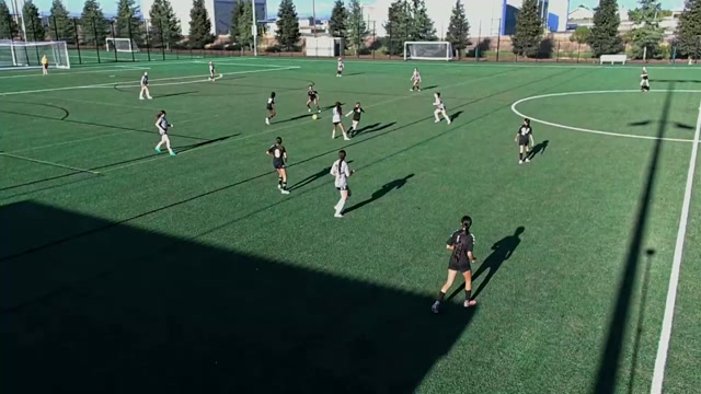 Roseville SC U13G vs Roseville SC U14G Rose