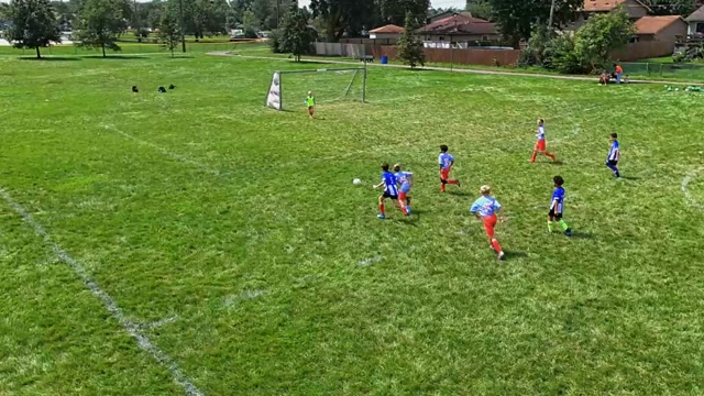 Dyer vs Renegades