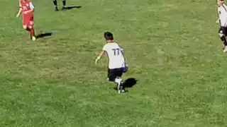 player 77