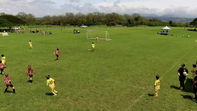 BVB 2017B vs HSA 17B