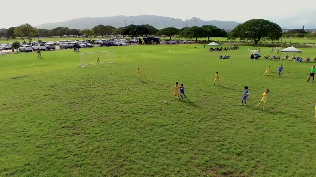 Albion 2017B vs BVB 2017B