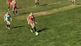 player 24