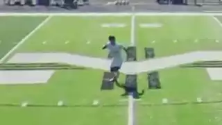 player 21