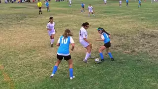 player 14