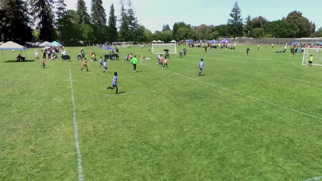 SCPro 17 B vs BASurf 2016B