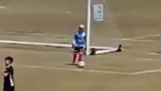 player 81