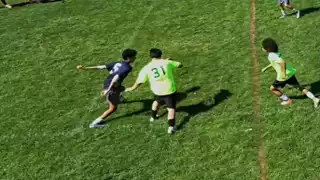 player 31