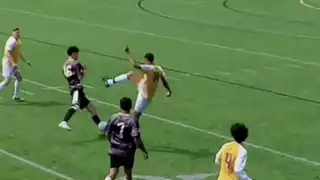 player 24