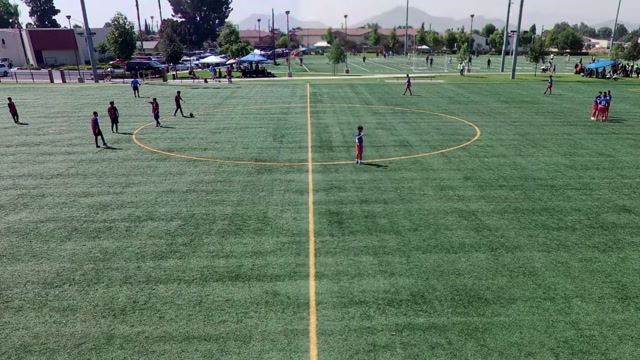 Lamacia vs Tiburones