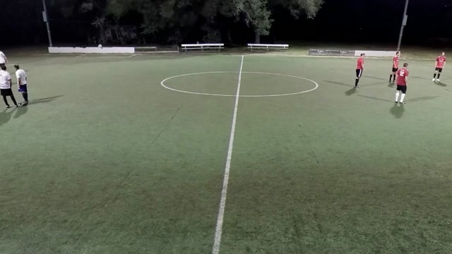 Pug vs Ballbusters