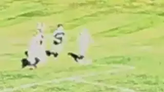 player 5
