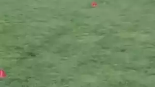 player 14