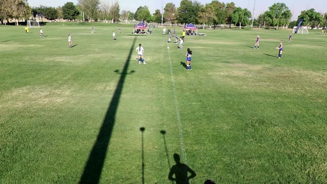 2010 Albion AV vs 2010G Next Level Soccer Black