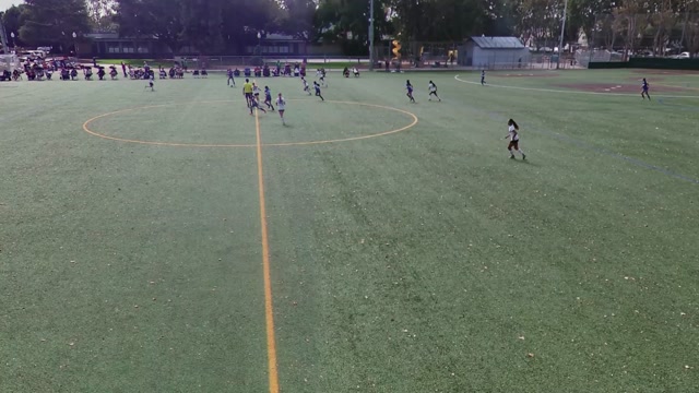 12G DPL Silicon Valley vs MVLA 12G PSG White