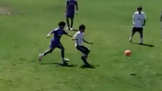 player 24