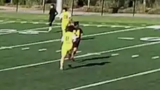 player 24