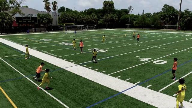 2010 Vipers vs United stars 2011