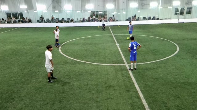Team vs ROA 2010