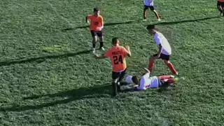 player 24