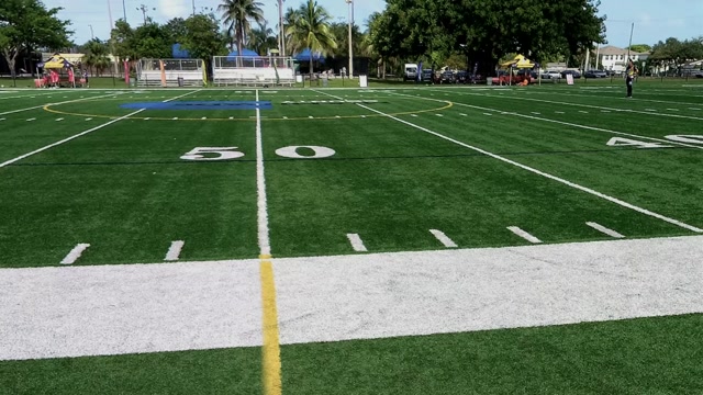 Halcones vs Blue Diamond F.C