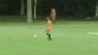 player 6
